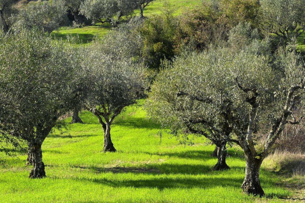 Il Podere La Casina Monsummano Terme Extérieur photo