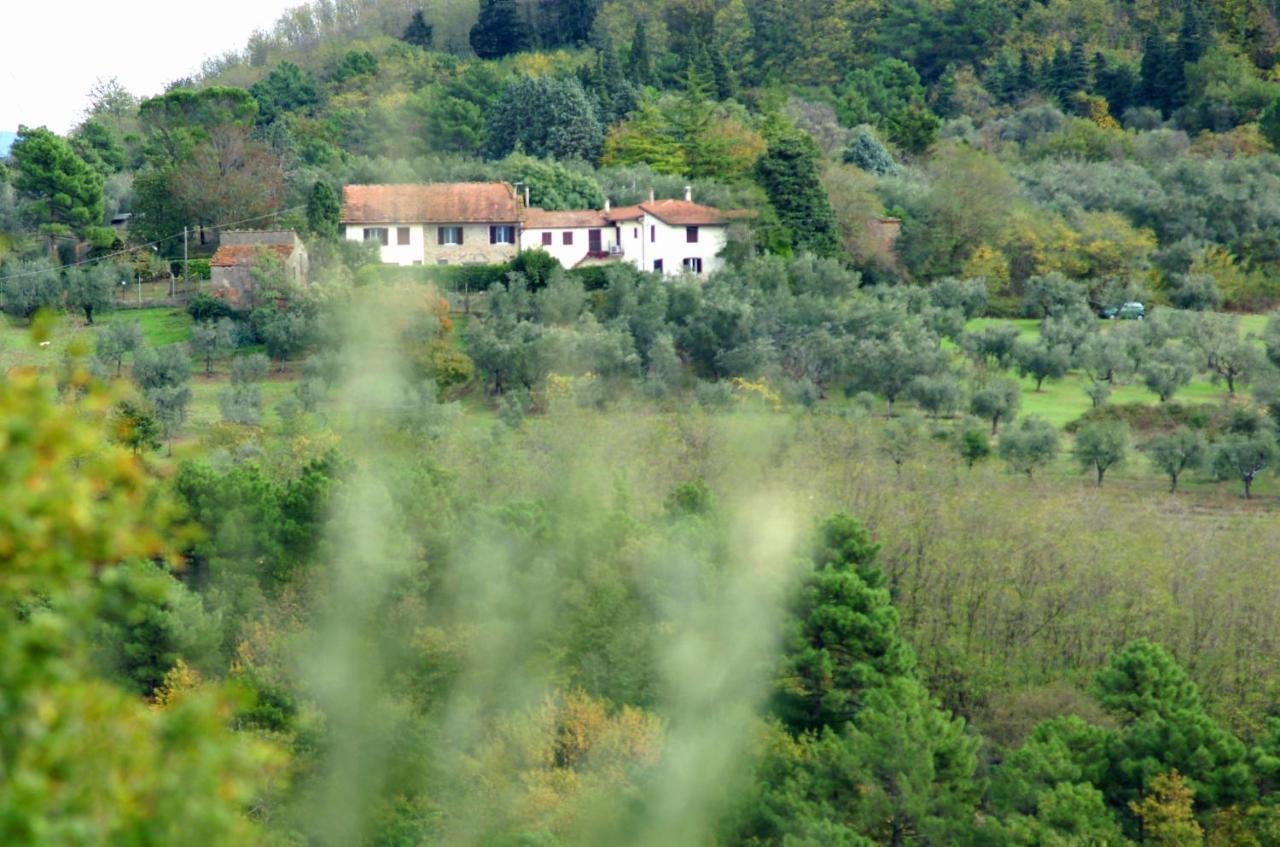 Il Podere La Casina Monsummano Terme Extérieur photo