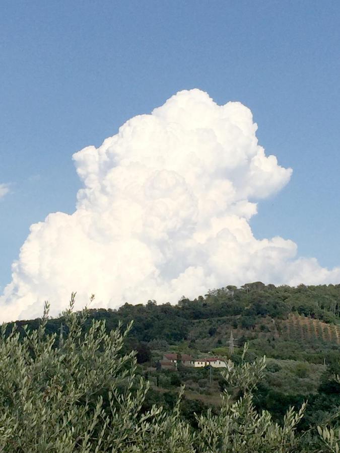 Il Podere La Casina Monsummano Terme Extérieur photo