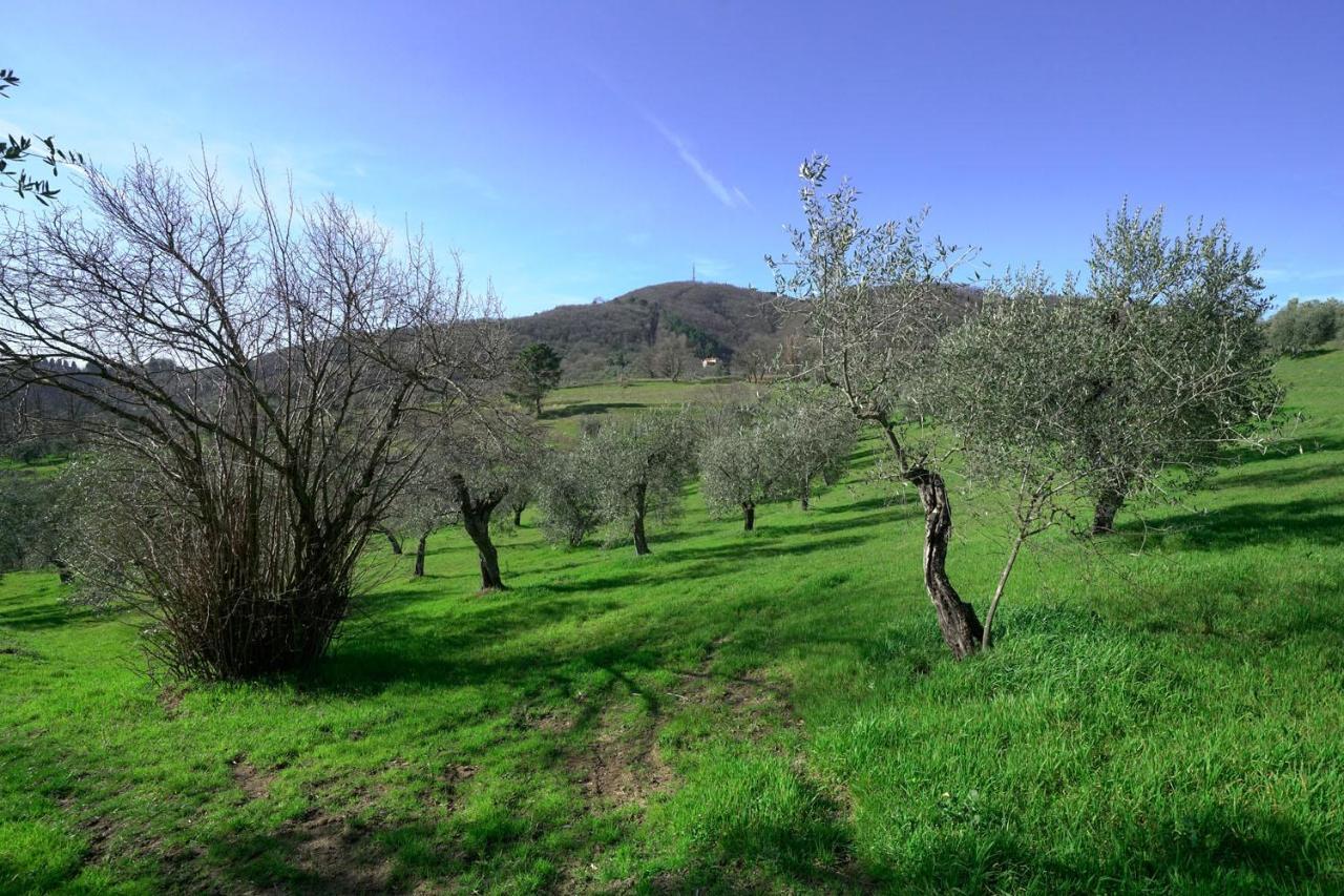 Il Podere La Casina Monsummano Terme Extérieur photo