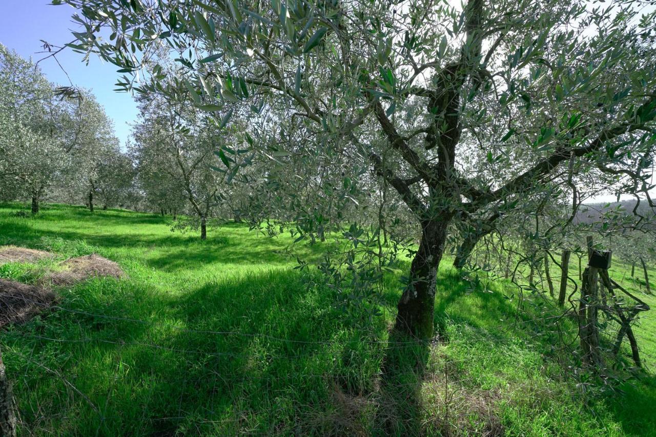 Il Podere La Casina Monsummano Terme Extérieur photo