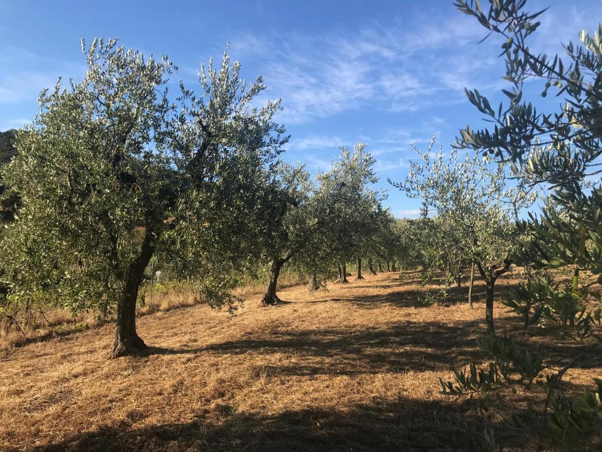 Il Podere La Casina Monsummano Terme Extérieur photo