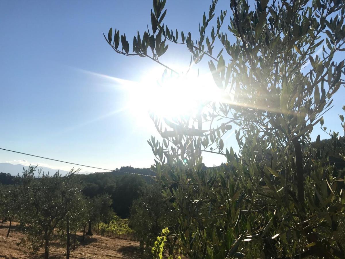 Il Podere La Casina Monsummano Terme Extérieur photo