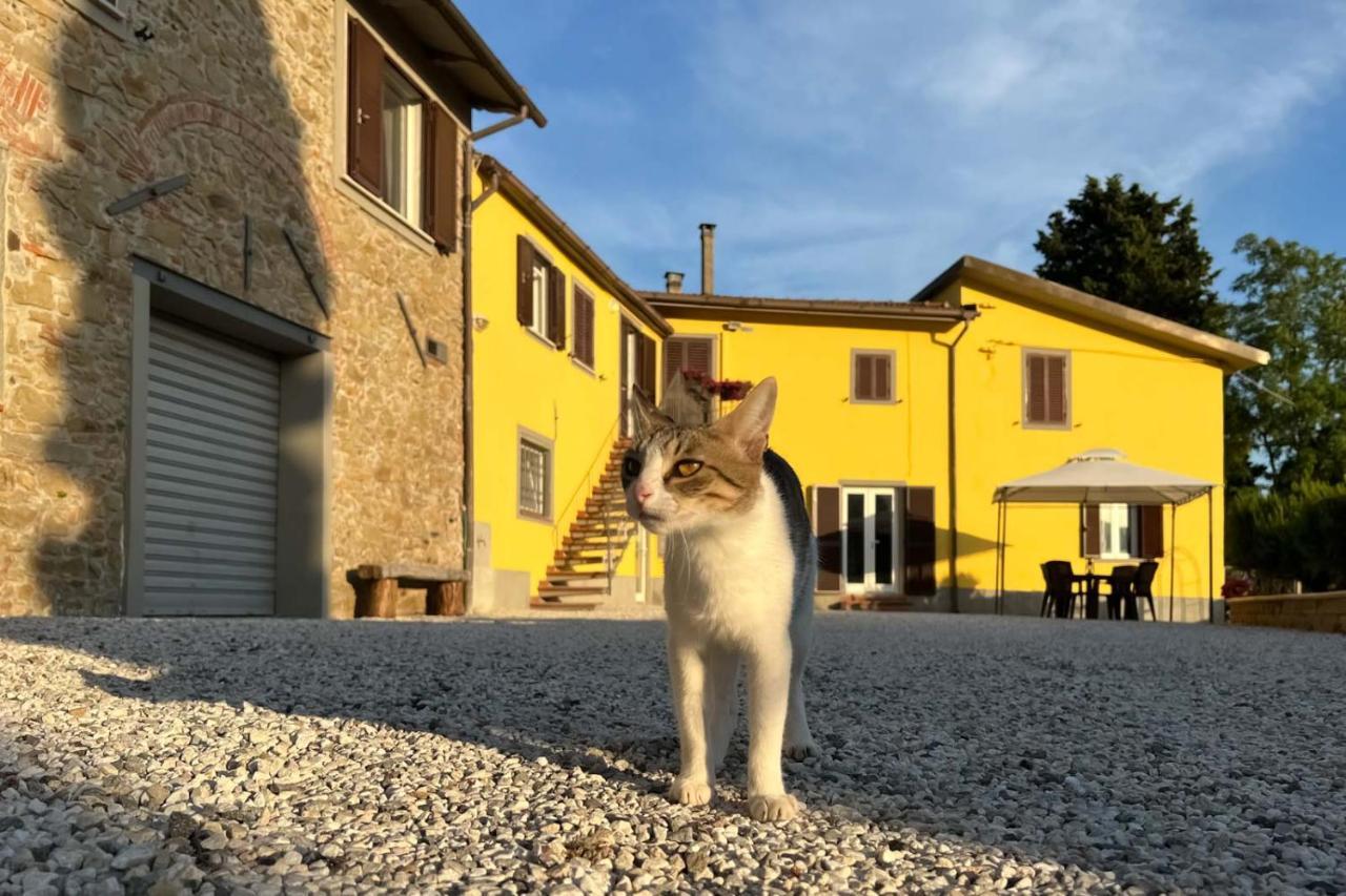 Il Podere La Casina Monsummano Terme Extérieur photo